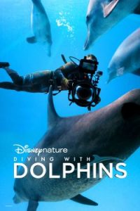 Diving with Dolphins