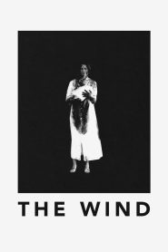 The Wind