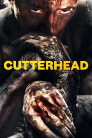 Cutterhead