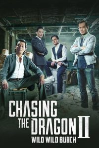 Chasing the Dragon II